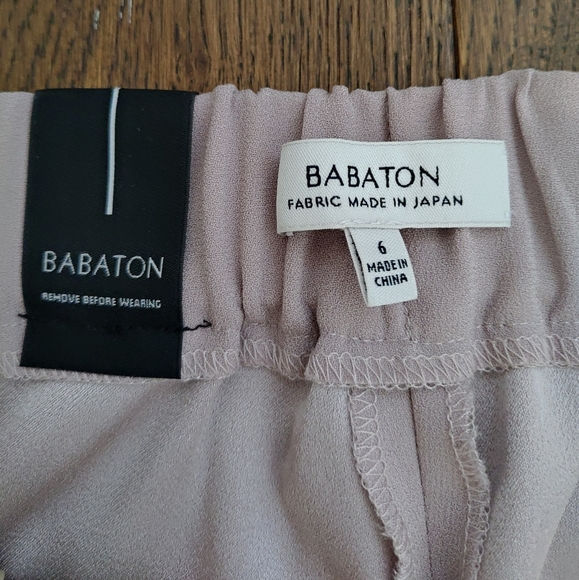 Aritzia Babaton Cohen Pants - Picture 4 of 5